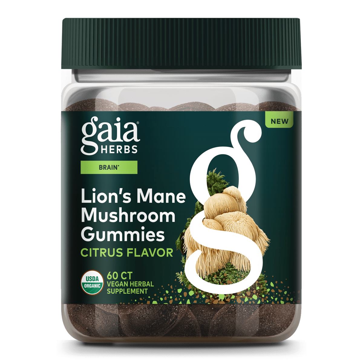 Lion'S Mane for Seniors: Protecting Brain Health After 60