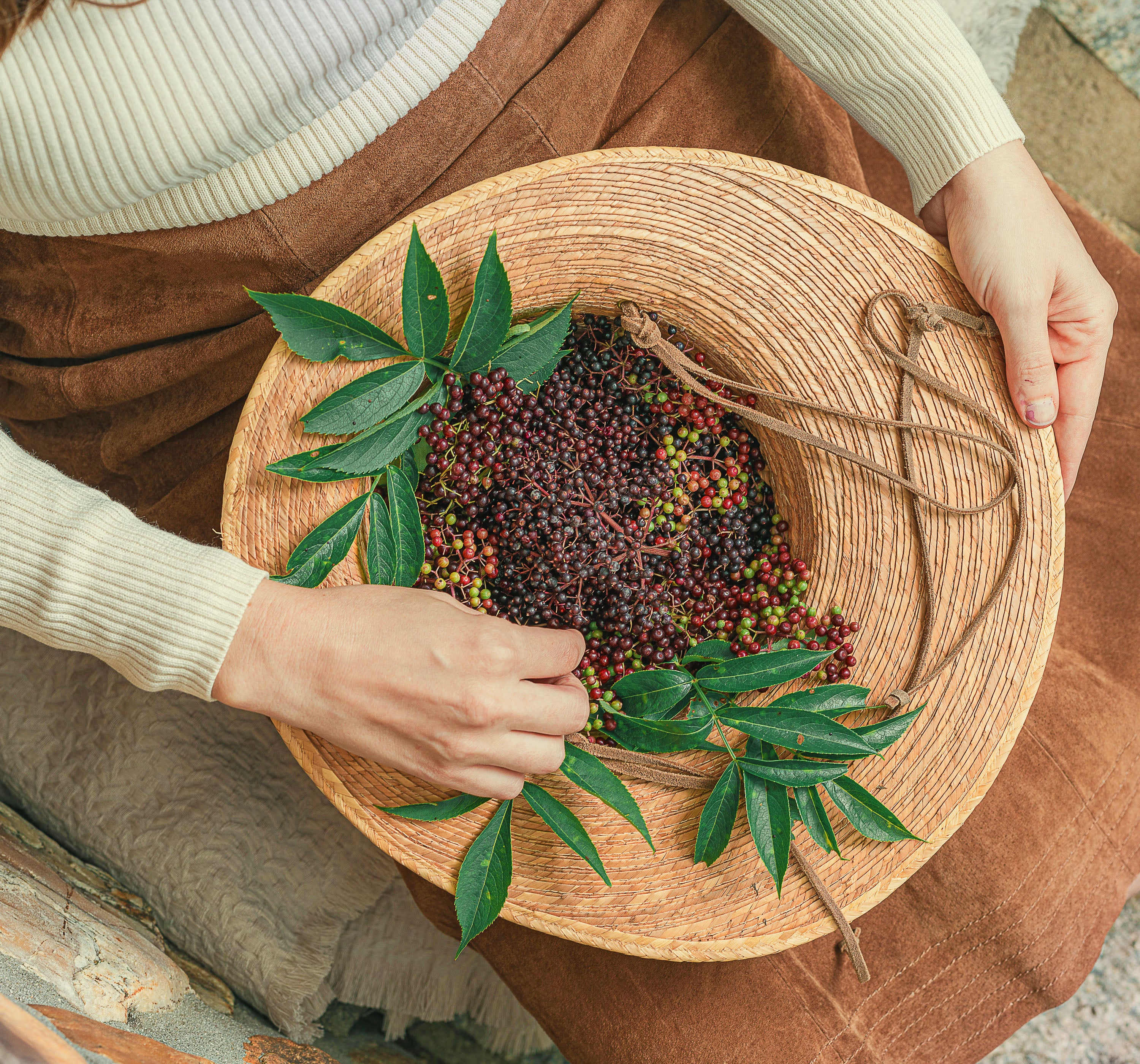 Immune Support Collection