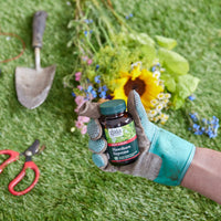 Hawthorn Berry Supplement