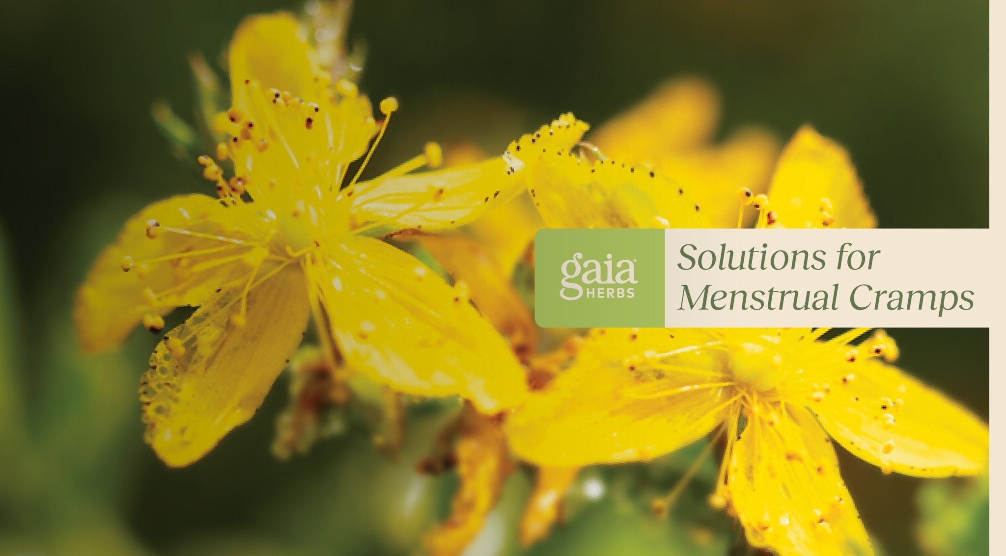 Natural solutions for menstrual cramps