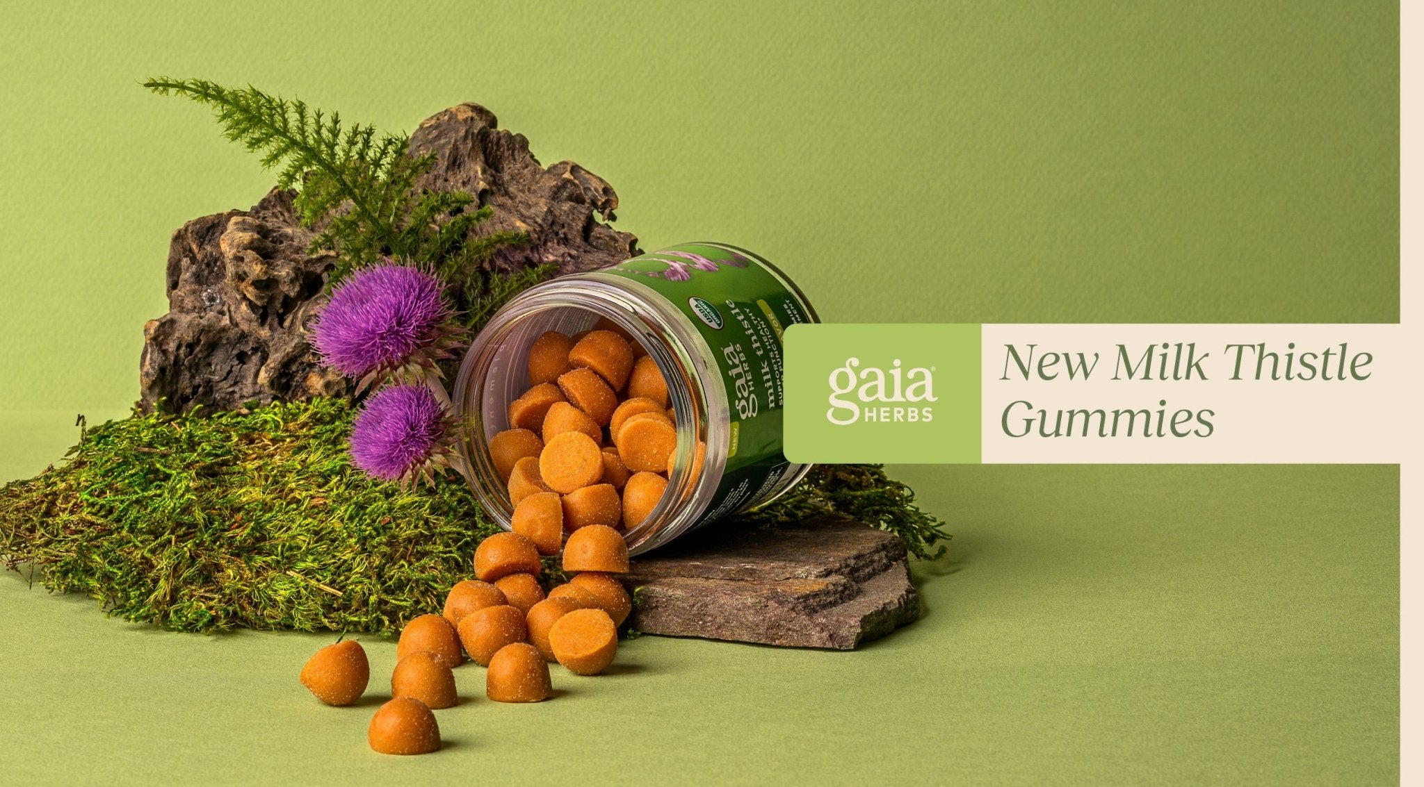 Milk thistle gummies