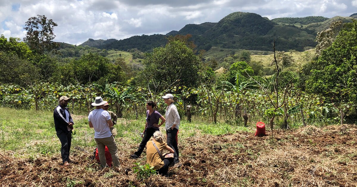 Ethical Sourcing