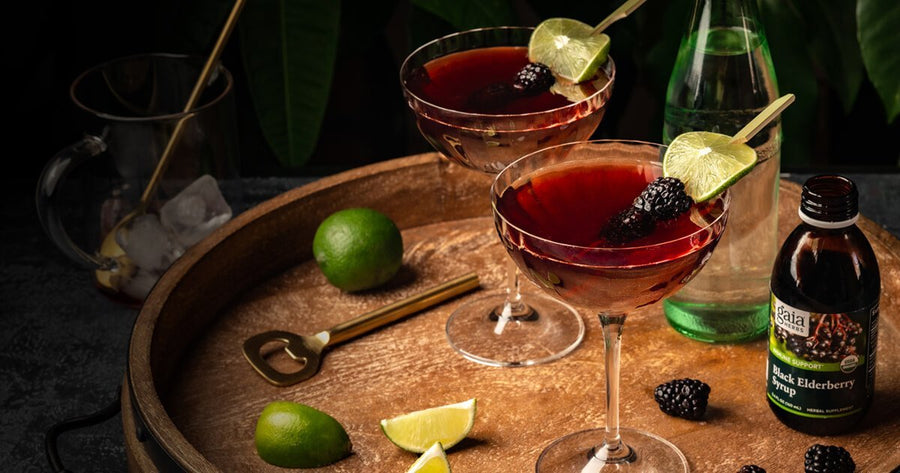 Recipe Roundup: Give Your Holiday Meal a Black Elderberry Boost—At Every Course! - Gaia Herbs