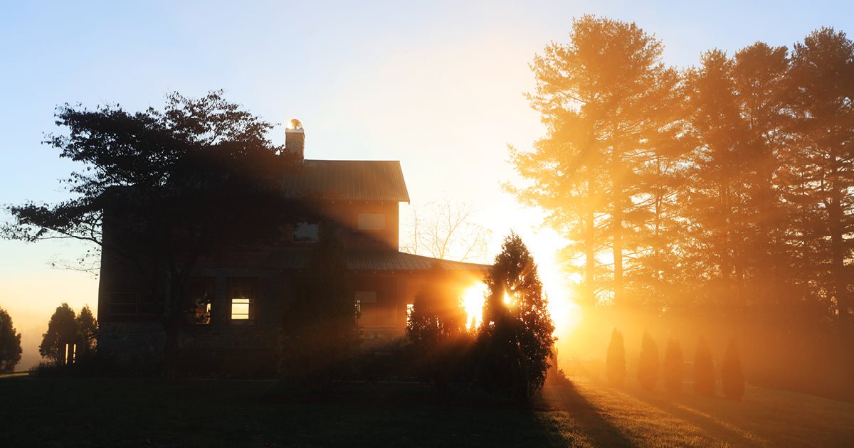 Let Gaia Be Your Guide to Making the Most of the Winter Months - Gaia Herbs