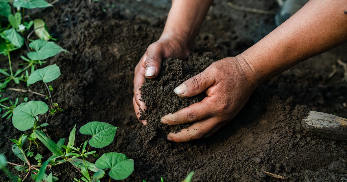 Gaia’s Sustainable and Healthy Agricultural Practices - Gaia Herbs