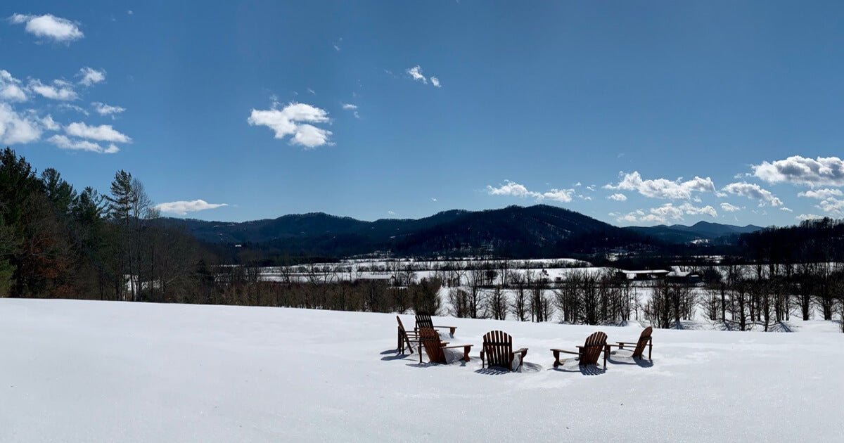 A Winter Update From the Gaia Farm