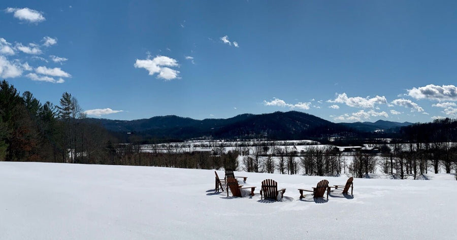 A Winter Update From the Gaia Farm