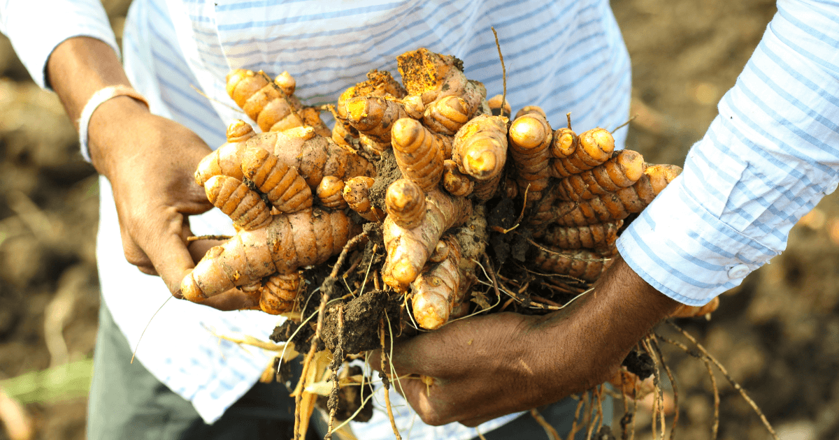 5 Ways to Enjoy Turmeric Each Day