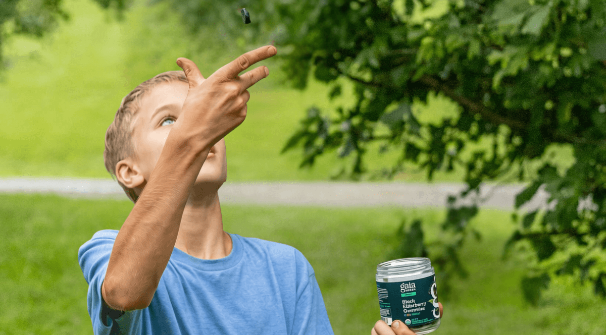 Back-To-School Herbs To Keep On Repeat, For Kids, Teachers, & Parents