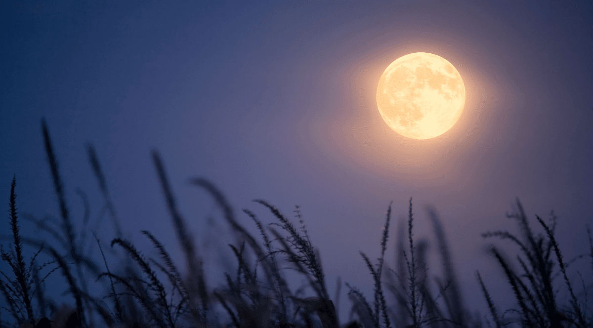 Gaia Horoscopes - Capricorn Full Moon - Gaia Herbs