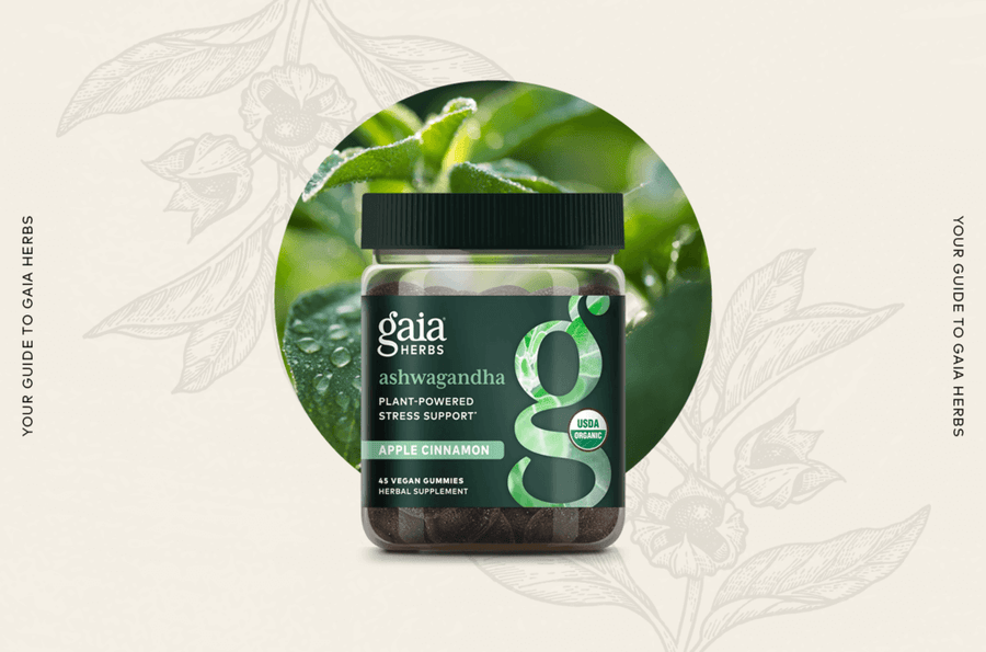 Your Guide to Ashwagandha Gummies