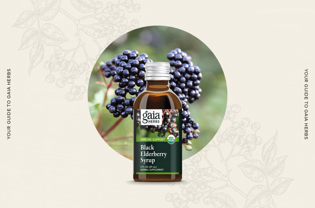 Your Guide to Gaia Herbs’ Black Elderberry Syrup - Gaia Herbs