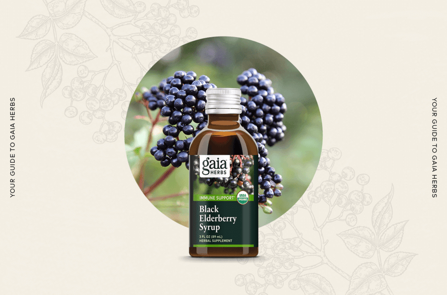 Your Guide to Gaia Herbs’ Black Elderberry Syrup - Gaia Herbs