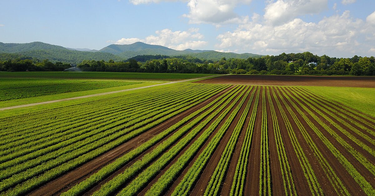Gaia Herbs Farm