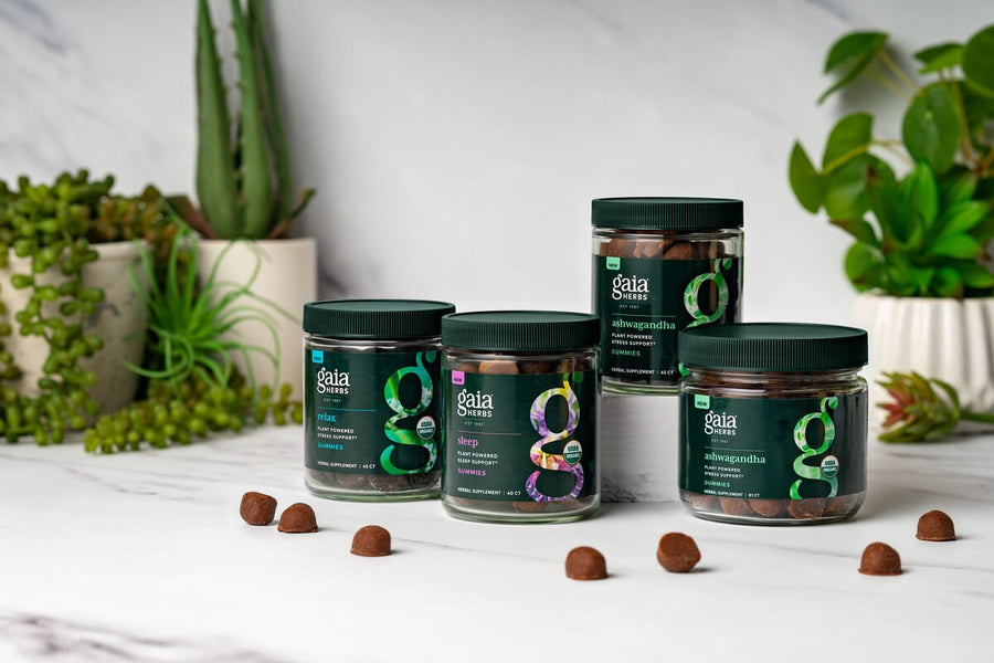Ready, Set, Gummy! 3 Tips for Choosing High-Quality Herbal Gummies—Plus, Meet Our 3 New Formulas - Gaia Herbs