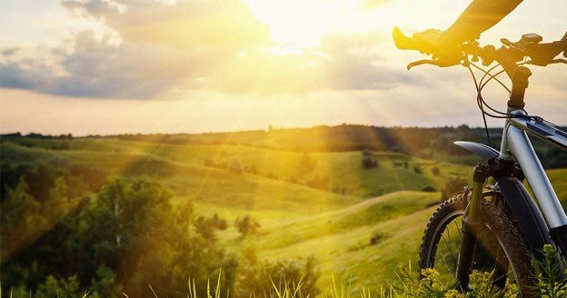 View of nature