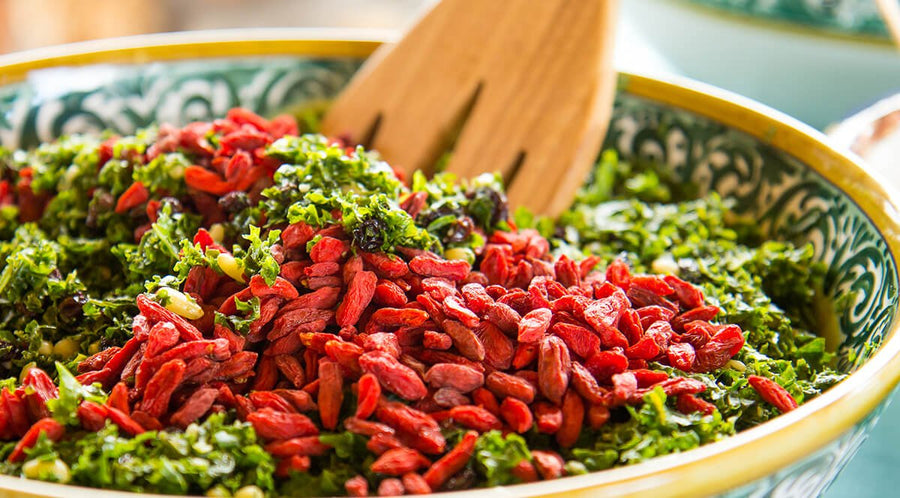 How Gut Health is Connected to Your Healthy Inflammatory Response - Gaia Herbs