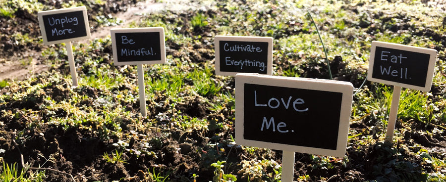 Positive affirmation signs staked into ground