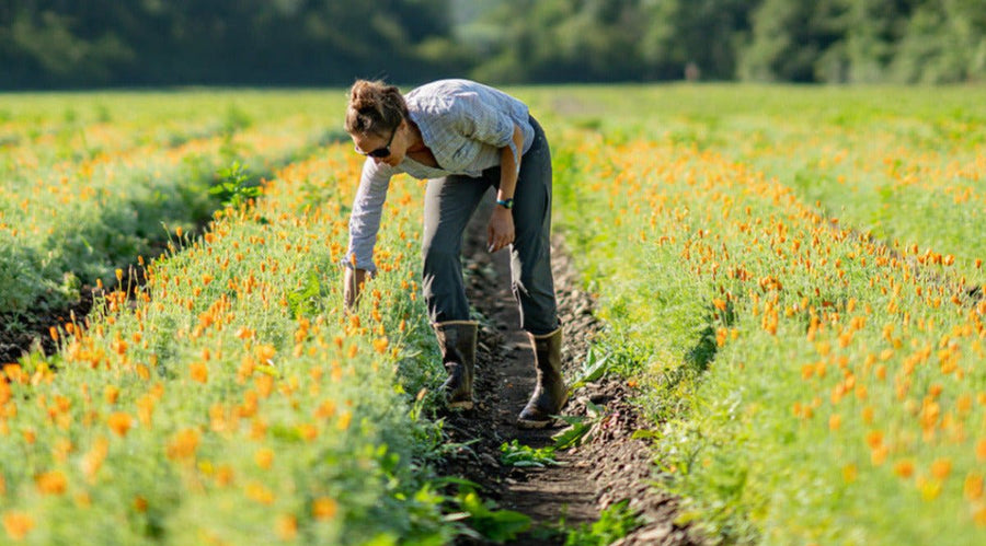 The Women in Ag Behind Gaia Herbs® Farm - Gaia Herbs