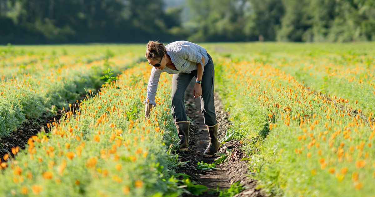 The Women in Ag Behind Gaia Herbs® Farm - Gaia Herbs