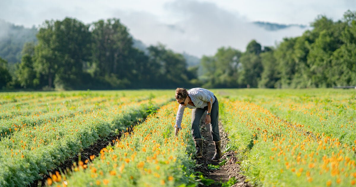 8 Simple Ways to Get In Touch With Nature