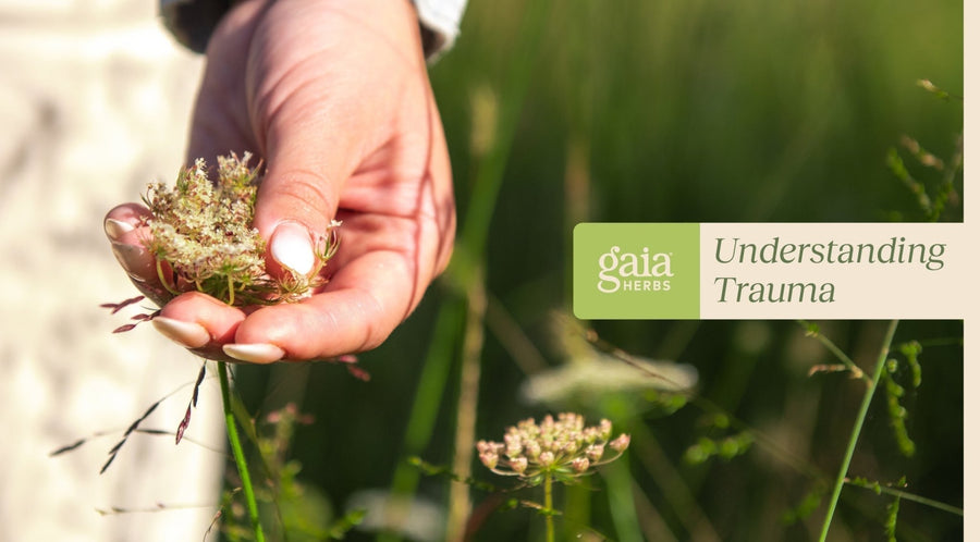 Understanding Trauma: Anatomy, Responses, and Healing - Gaia Herbs
