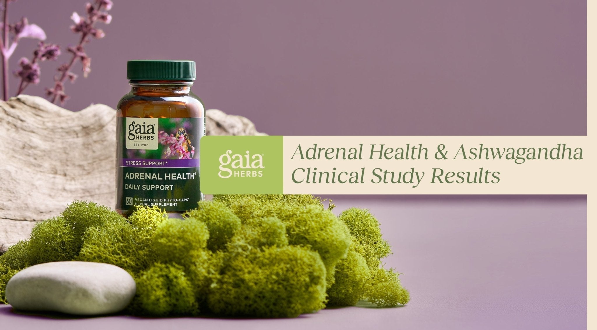 adrenal health daily & ashwagandha clinical study results gaia herbs