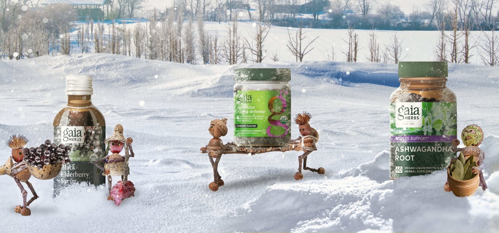 Sustainable holiday gifts
