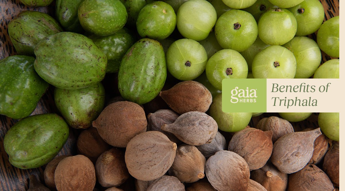 Triphala benefits
