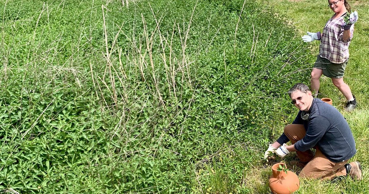 Biodynamic gardening at Gaia Farm