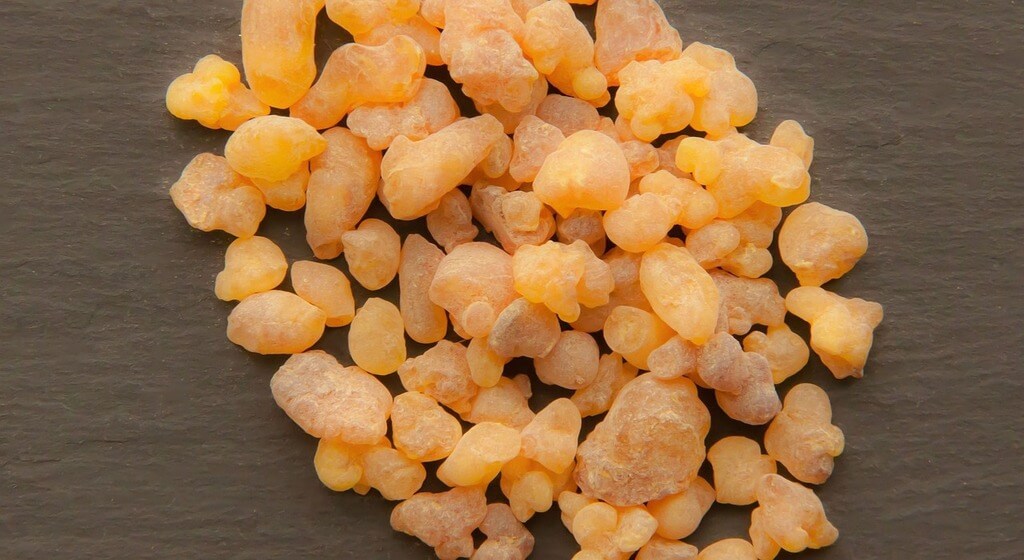 The Benefits of Boswellia Indian Frankincense