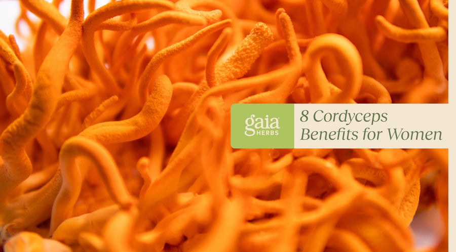 cordyceps benefits for female