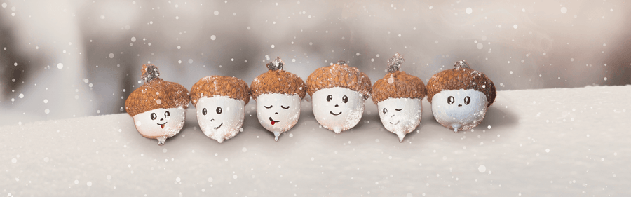 20+ Holiday Gift Ideas for Friends and Family Over 50+ - Gaia Herbs