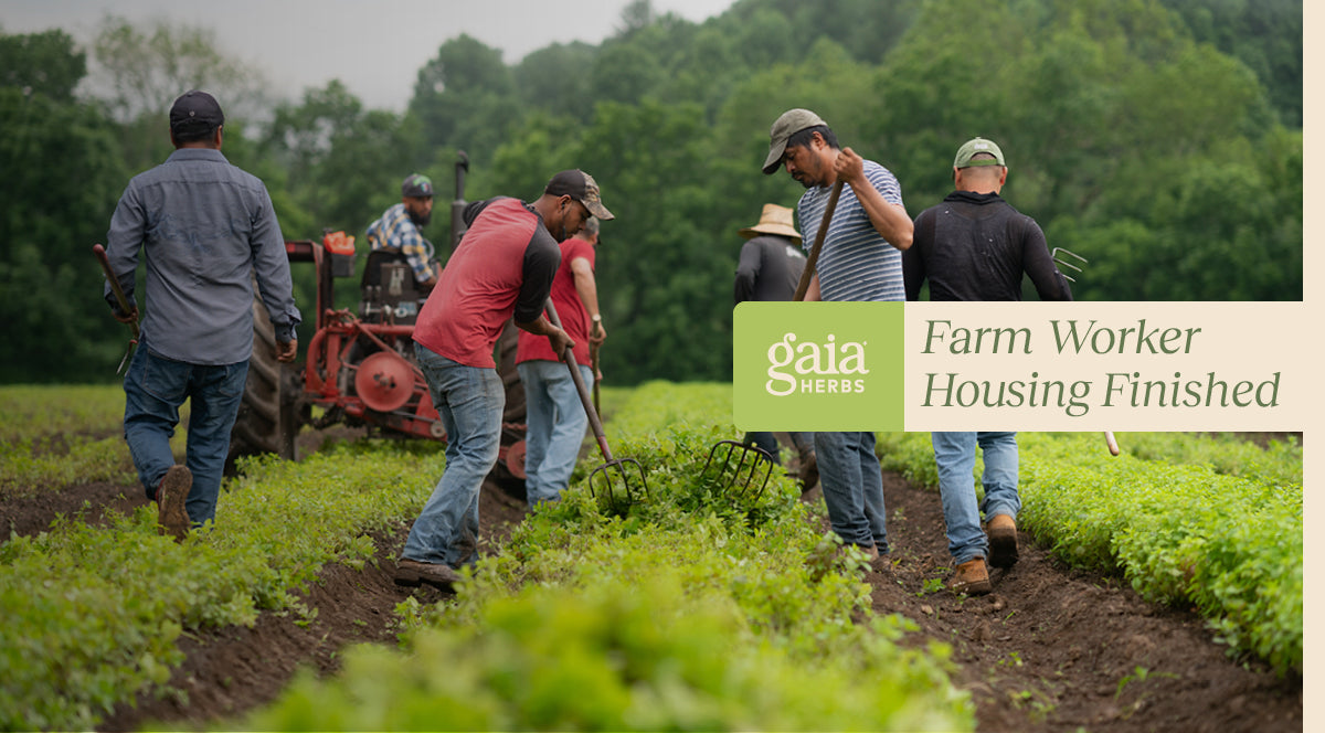 The Who and the Why of the Gaia Herbs Farmworker Housing Project  