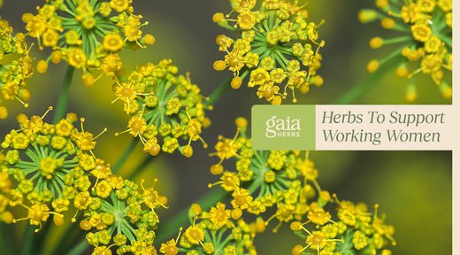 How These 7 Herbs Support Working Women’s Energy, Hormones, Focus, & More - Gaia Herbs