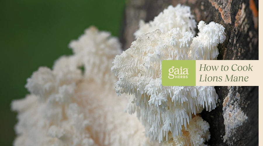 How To Cook Lion's Mane