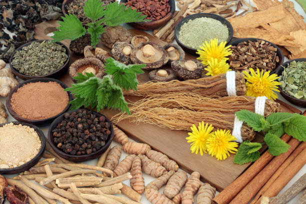 What Are Adaptogens and Why Are People Taking Them?