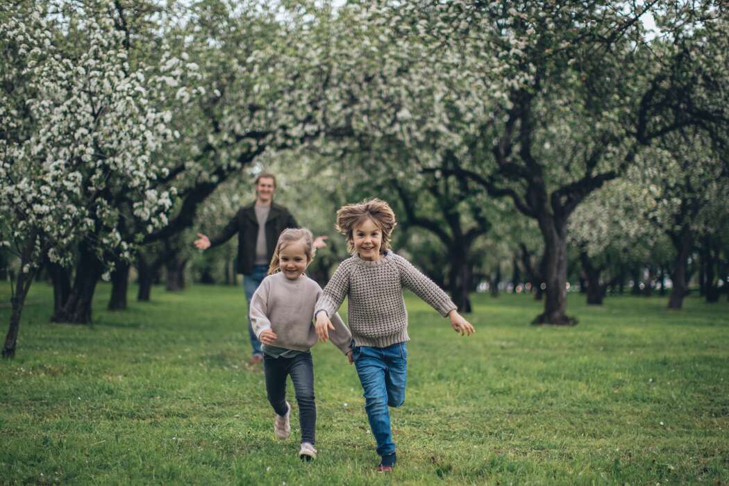 Health and wellness in spring