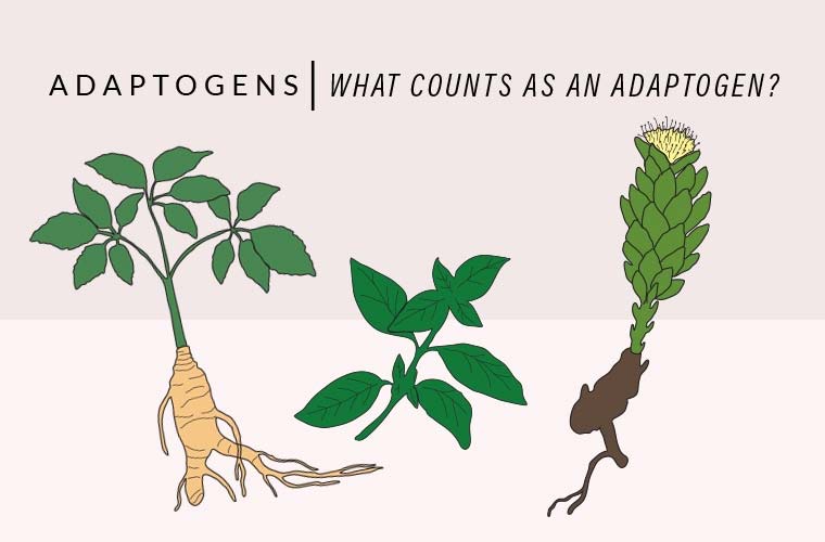 Everything You Need to Know About Adaptogens, Explained - Gaia Herbs