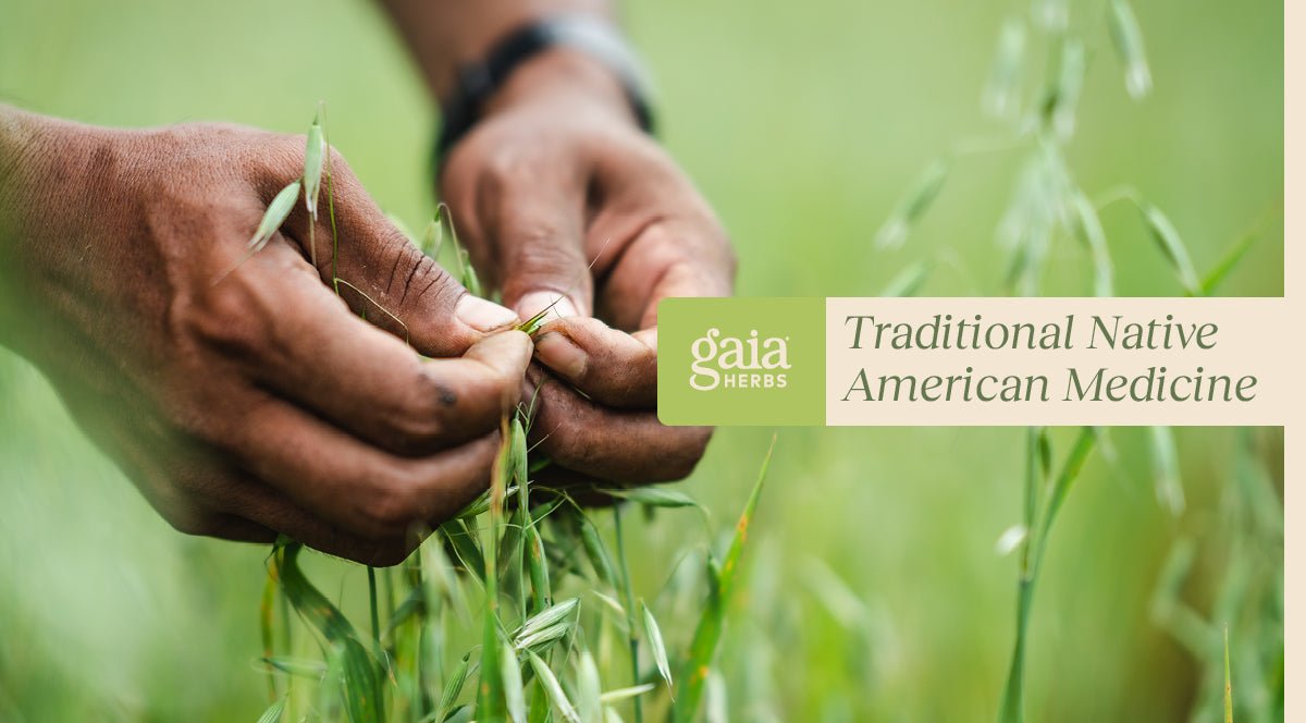 A Beginner’s Guide to Traditional Native American Medicine & Herbalism
