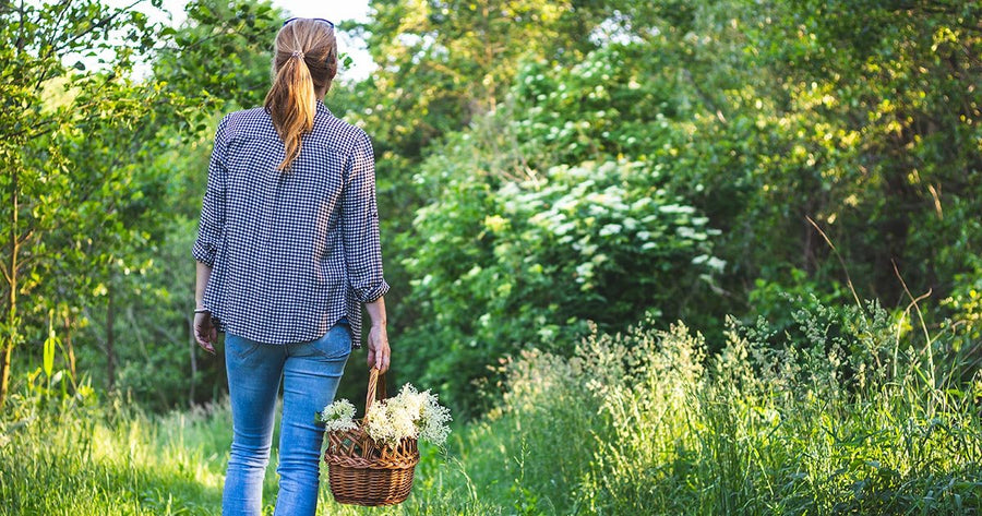 Woman holding basket full of herbs