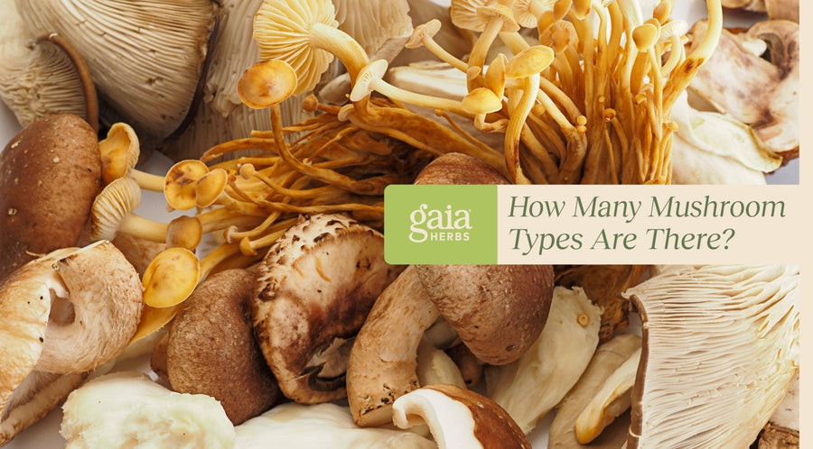 how many mushroom types are there