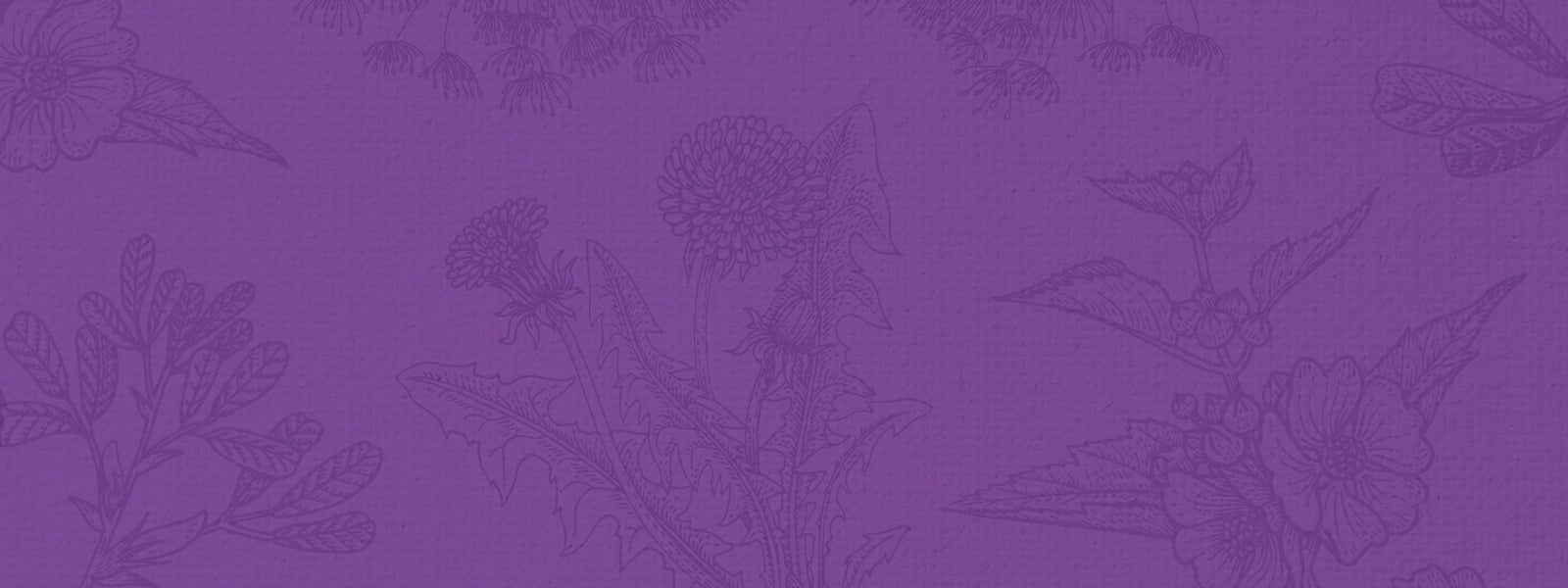 <p>Fertility to Postnatal Support</p>