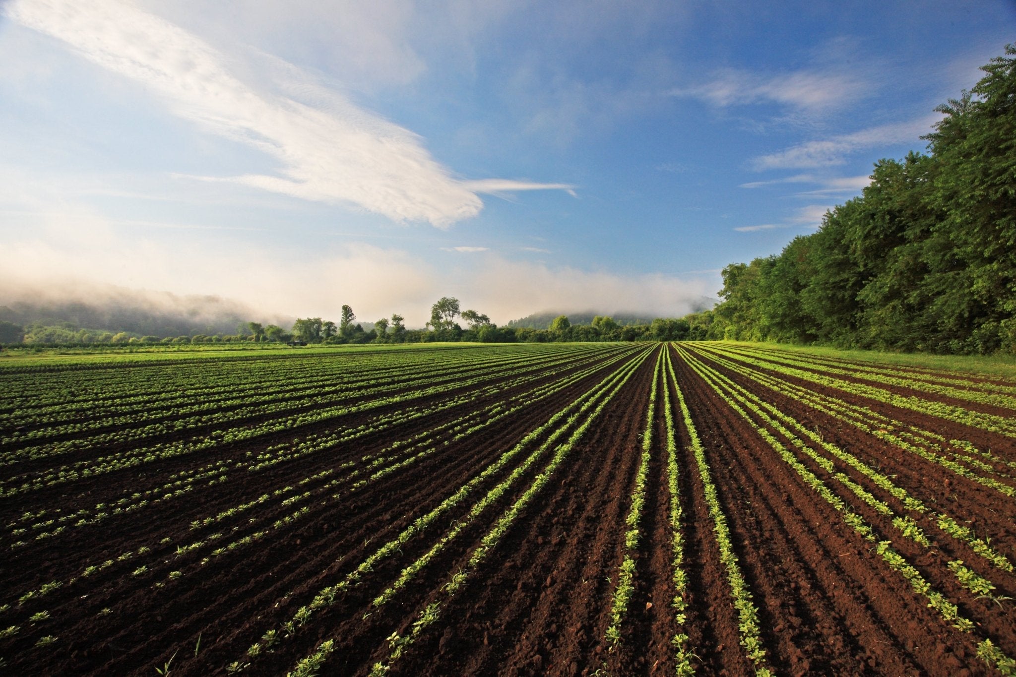 <p>Trending Products</p>