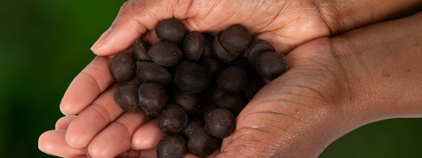 <p>Herbal Gummies</p>