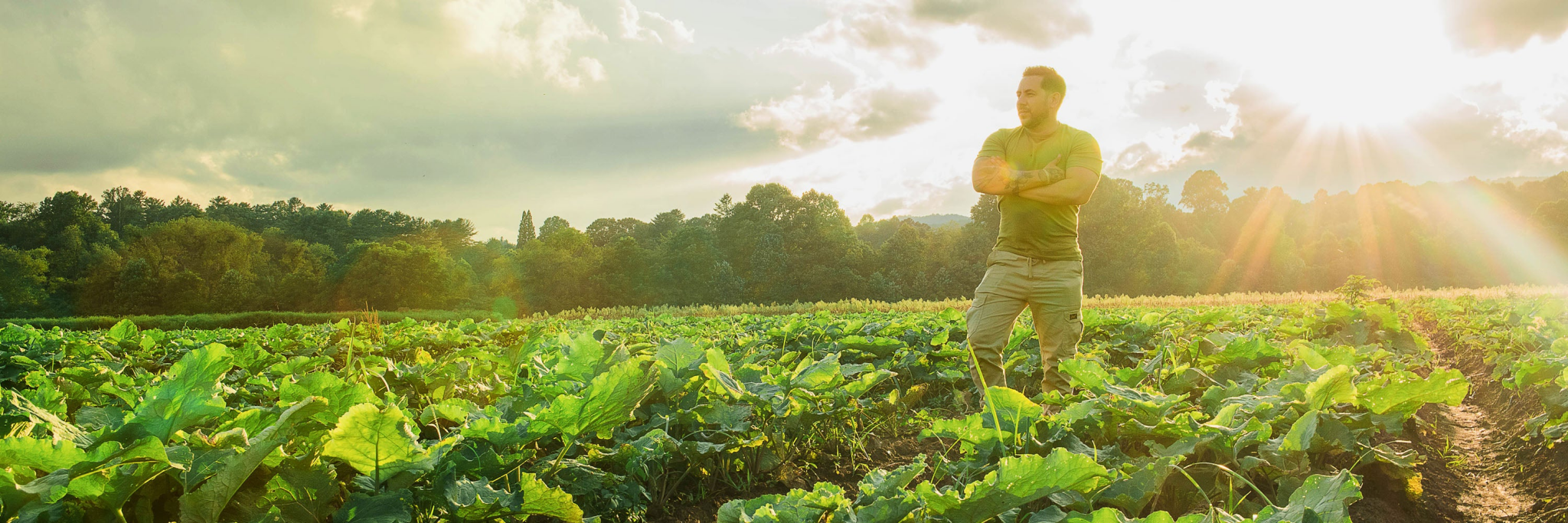 <p>Men's Health*</p>