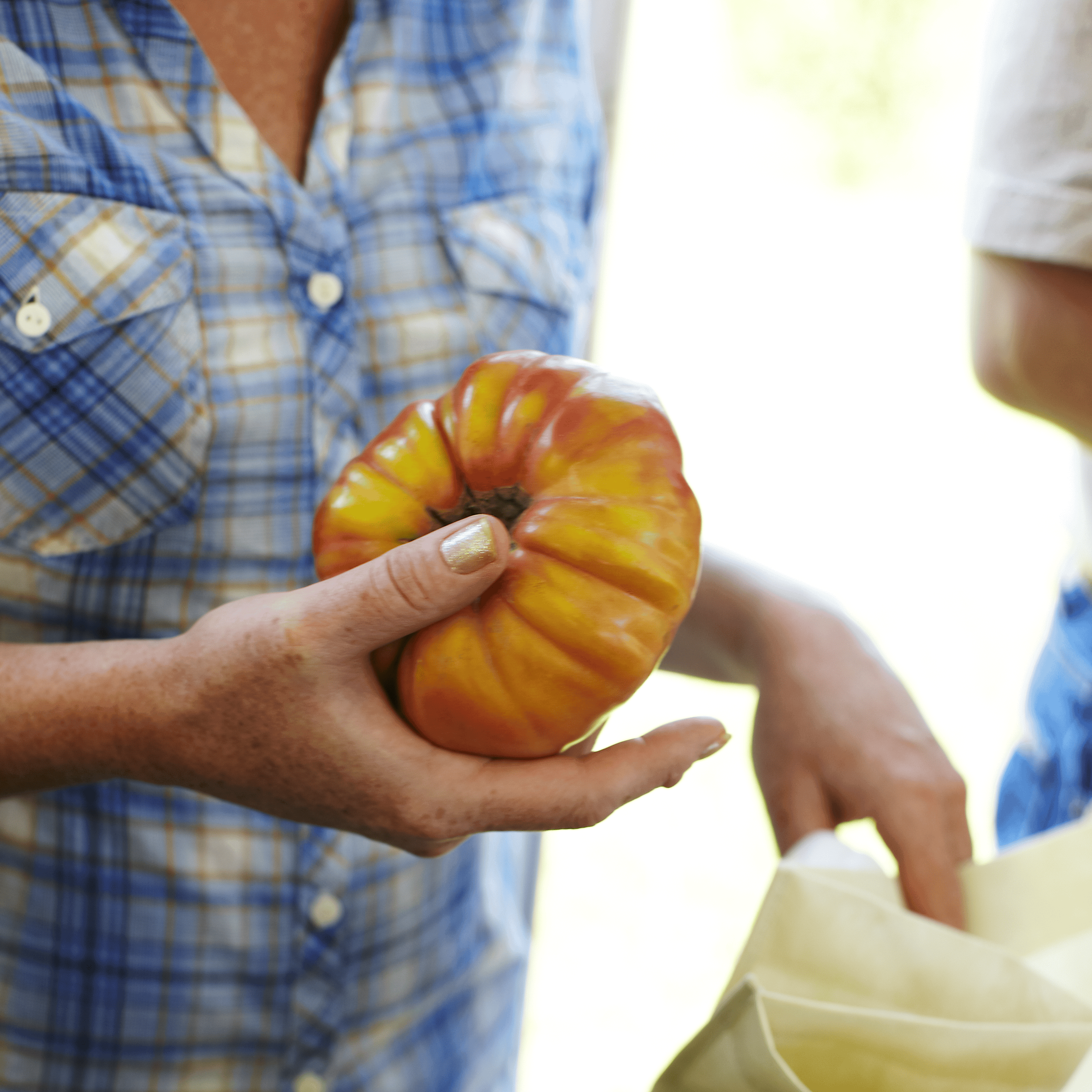 Person holding a small pumpkin with another person in the background