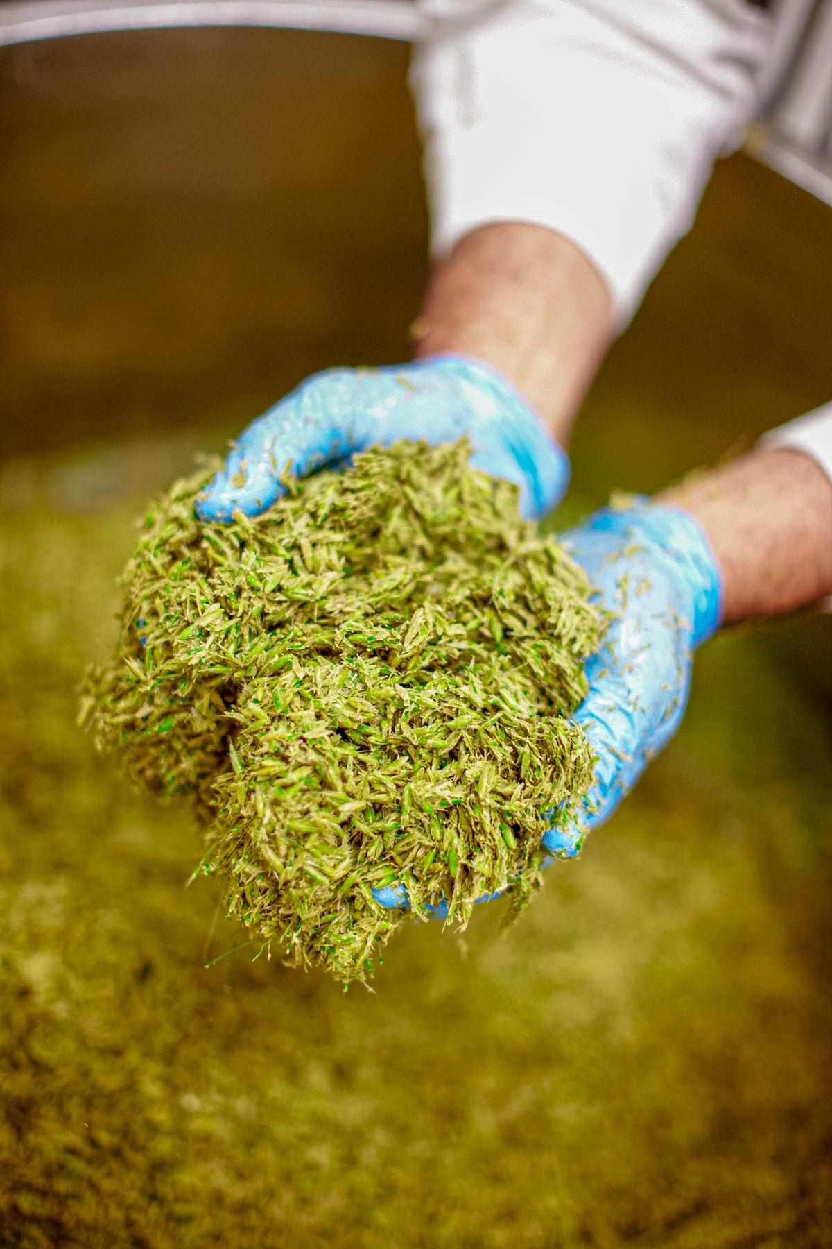Know Your Gaia Herbs
