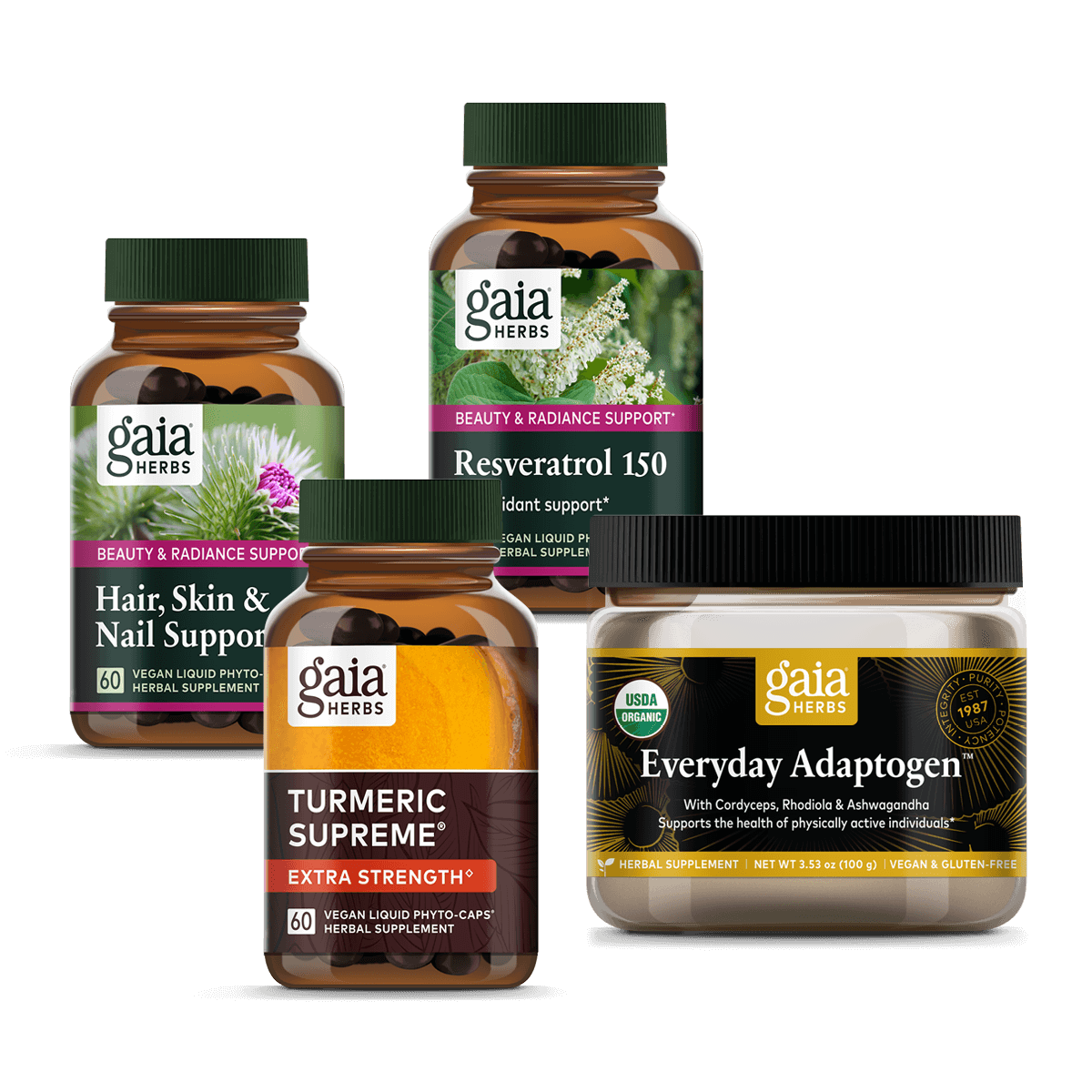 Beauty essentials hot sale kit