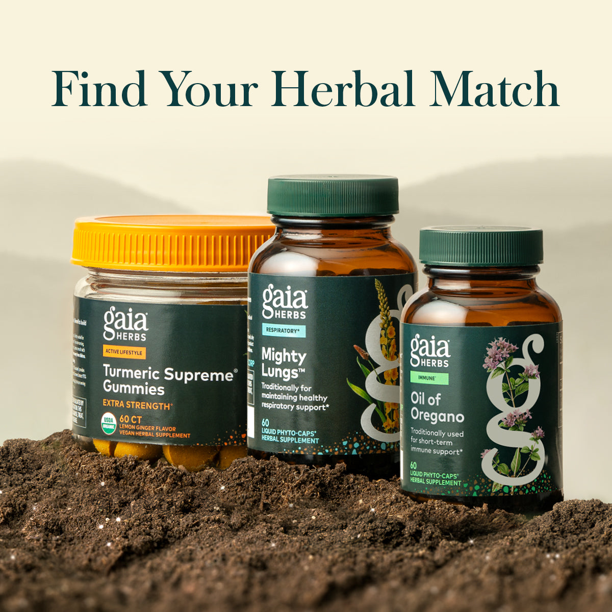 Gaia Herbs Mushrooms and Herbs Everyday Immune product image